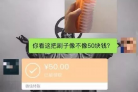 宁德企业清欠服务